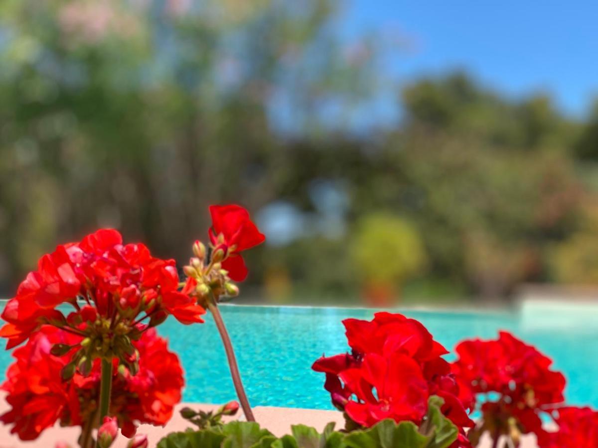 Villa Vittoria Vieste Ngoại thất bức ảnh